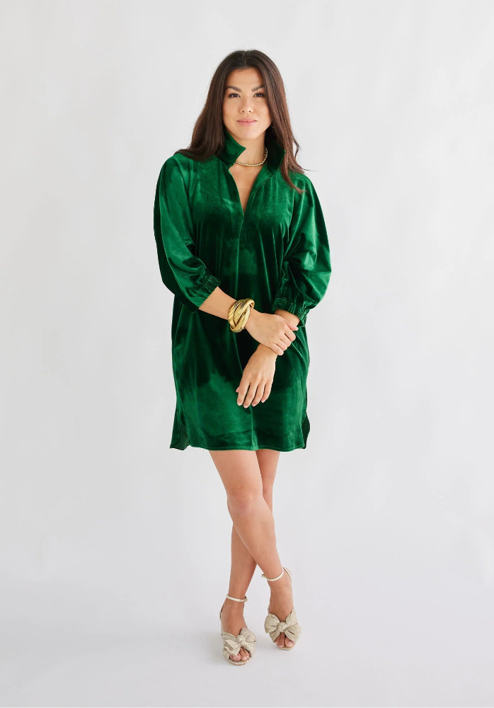 Betsy Collar Velvet Dress